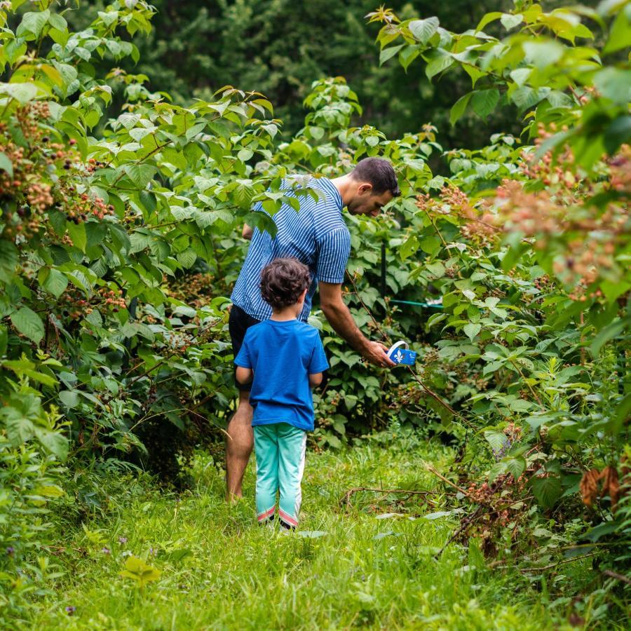 Gite O'Bordeleau (Adults Only) Luskville Kültér fotó